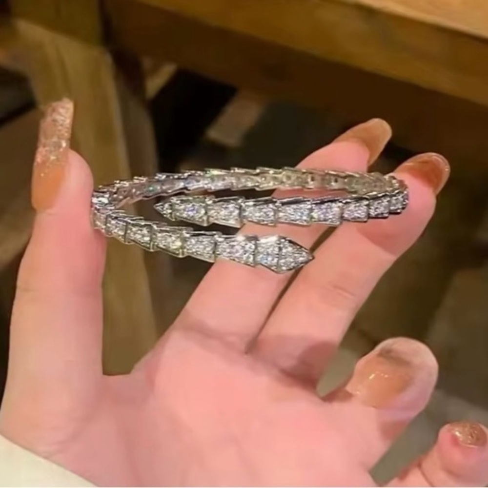 Serpent Snake Bone Silver CZ Bracelet